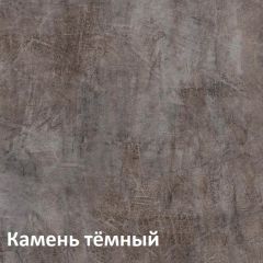 Крафт Полка навесная 15.64 в Лысьве - lysva.mebel24.online | фото 4
