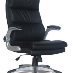 Кресло офисное BRABIX "Fregat EX-510" (рециклированная кожа, черное) 530863 в Лысьве - lysva.mebel24.online | фото 1