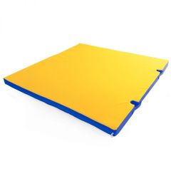 Мат гимнастический 1х1х0,05м с вырезом под стойки цв. синий-желтый в Лысьве - lysva.mebel24.online | фото