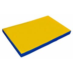 Мат гимнастический 2х1х0,1м цв. синий-желтый в Лысьве - lysva.mebel24.online | фото