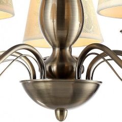 Подвесная люстра Arte Lamp Felcia A9368LM-5AB в Лысьве - lysva.mebel24.online | фото 4