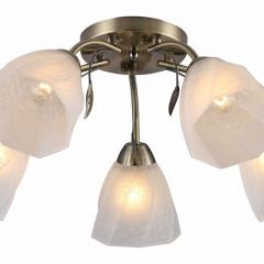 Потолочная люстра Rivoli Olivia Б0052693 в Лысьве - lysva.mebel24.online | фото