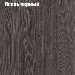 Прихожая ДИАНА-4 сек №6 (Ясень анкор/Дуб эльза) в Лысьве - lysva.mebel24.online | фото 3