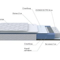 PROxSON Матрас Active Duo S/F (Ткань Трикотаж Эко) 160x190 в Лысьве - lysva.mebel24.online | фото 6