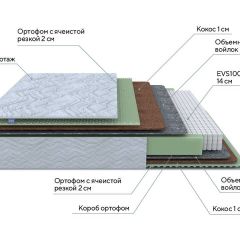 PROxSON Матрас Green M (Tricotage Dream) 140x190 в Лысьве - lysva.mebel24.online | фото 7