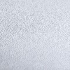 PROxSON Защитный чехол Aqua Save M (Ткань влагостойкая Terry Cloth) 120x200 в Лысьве - lysva.mebel24.online | фото 4