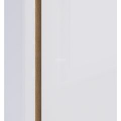 Шкаф 2х дверный с зеркалом Веста СБ-2259 (Дуб Бунратти/Белый глянец) в Лысьве - lysva.mebel24.online | фото 3