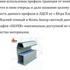 Шкаф-купе 1500 серии SILVER S4+S3Z+B2+PL1 (2 ящика+1 штанга) профиль «Серебро» в Лысьве - lysva.mebel24.online | фото 6