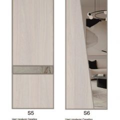 Шкаф-купе 1500 серии SILVER S4+S3Z+B2+PL1 (2 ящика+1 штанга) профиль «Серебро» в Лысьве - lysva.mebel24.online | фото 11