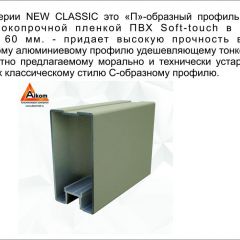 Шкаф-купе 1700 серии NEW CLASSIC K6Z+K6+B2+PL3 (2 ящика+2 штанги) профиль «Капучино» в Лысьве - lysva.mebel24.online | фото 17