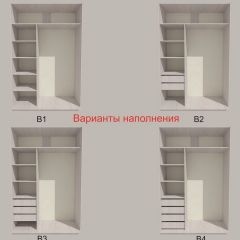 Шкаф-купе 1700 серии SILVER S1+S1+B2+PL2 (2 ящика+1 штанга+1 полка) профиль «Серебро» в Лысьве - lysva.mebel24.online | фото 5