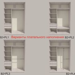 Шкаф-купе 1700 серии SILVER S1+S1+B2+PL2 (2 ящика+1 штанга+1 полка) профиль «Серебро» в Лысьве - lysva.mebel24.online | фото 6