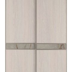 Шкаф-купе 1700 серии SILVER S1+S1+B2+PL2 (2 ящика+1 штанга+1 полка) профиль «Серебро» в Лысьве - lysva.mebel24.online | фото 10