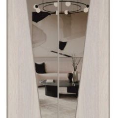 Шкаф-купе 1700 серии SILVER S1+S1+B2+PL2 (2 ящика+1 штанга+1 полка) профиль «Серебро» в Лысьве - lysva.mebel24.online | фото 12