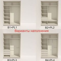 Шкаф-купе 1800 серии SOFT D6+D4+B2+PL2 (2 ящика+1штанга+1 полка) профиль «Капучино» в Лысьве - lysva.mebel24.online | фото 7