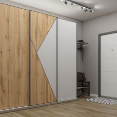 Шкаф-купе 2100 серии SOFT D2+D7+D3+B22+PL2 (по 2 ящика лев/прав+1штанга+1полка) профиль «Графит» в Лысьве - lysva.mebel24.online | фото