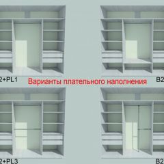 Шкаф-купе 2250 серии SILVER S3+S1+S4 B22+PL3 (по 2 ящика лев/прав+2 штанги) профиль «Серебро» в Лысьве - lysva.mebel24.online | фото 6