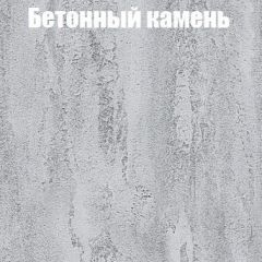 Шкаф-купе Бассо 1.0 (Дуб Крафт серый/Бетонный камень) 2 двери ЛДСП в Лысьве - lysva.mebel24.online | фото 3
