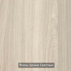 Шкаф купе без зеркала "Ольга 10.1" в Лысьве - lysva.mebel24.online | фото 5