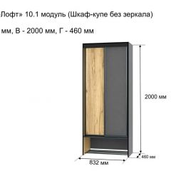 ОЛЬГА-ЛОФТ 10.1 Шкаф-купе без зеркала в Лысьве - lysva.mebel24.online | фото 3