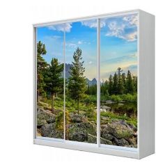 Шкаф-купе ХИТ 24-4-20-777 (420) в Лысьве - lysva.mebel24.online | фото 1