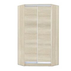 Шкаф-купе ХИТ-У-L-24-64-11 в Лысьве - lysva.mebel24.online | фото 8