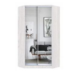 Шкаф-купе ХИТ-У-L-24-64-55 в Лысьве - lysva.mebel24.online | фото 6