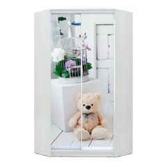 Шкаф-купе ХИТ-У-R-23-64-77 в Лысьве - lysva.mebel24.online | фото
