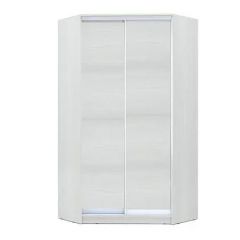 Шкаф-купе ХИТ-У-R-24-64-11 в Лысьве - lysva.mebel24.online | фото