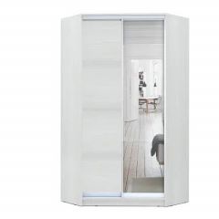 Шкаф-купе ХИТ-У-R-24-64-15 в Лысьве - lysva.mebel24.online | фото