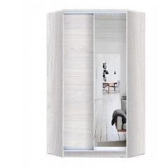Шкаф-купе ХИТ-У-R-24-64-15 в Лысьве - lysva.mebel24.online | фото 5