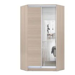 Шкаф-купе ХИТ-У-R-24-64-15 в Лысьве - lysva.mebel24.online | фото 9