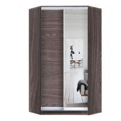 Шкаф-купе ХИТ-У-R-24-64-15 в Лысьве - lysva.mebel24.online | фото 11