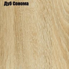 Шкаф-купе Лофт 2400 Шк24-60 (Дуб Сонома) в Лысьве - lysva.mebel24.online | фото 4