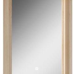 Шкаф-зеркало Nice 45 с подсветкой Домино (DN4704HZ) в Лысьве - lysva.mebel24.online | фото 1