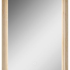 Шкаф-зеркало Nice 50 с подсветкой Домино (DN4705HZ) в Лысьве - lysva.mebel24.online | фото 2