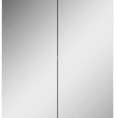 Шкаф-зеркало Норма 45 2 двери АЙСБЕРГ (DA1635HZ) в Лысьве - lysva.mebel24.online | фото 4