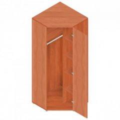 Шкаф для одежды "Референт" Р.Ш-10 в Лысьве - lysva.mebel24.online | фото