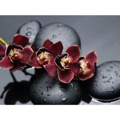 Стол обеденный Бостон Ст101.1 орхидеи в Лысьве - lysva.mebel24.online | фото 3