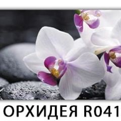 Стол раздвижной Бриз лайм R156 Орхидея R041 в Лысьве - lysva.mebel24.online | фото 33