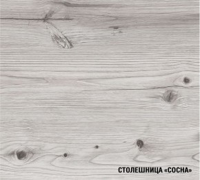 АСАЯ Кухонный гарнитур Экстра 2 (3000 мм) ПМ в Лысьве - lysva.mebel24.online | фото 8