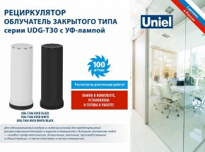 Бактерицидный светильник Uniel UDG-T UL-00007697 в Лысьве - lysva.mebel24.online | фото 2