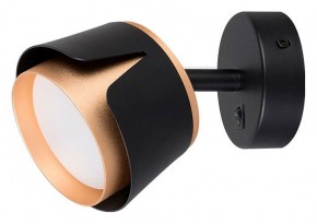 Бра Arte Lamp Amaks A8028AP-1BK в Лысьве - lysva.mebel24.online | фото