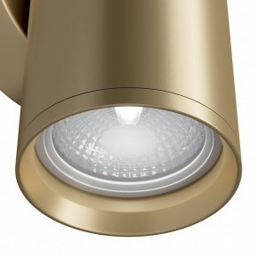 Бра Maytoni Focus S C068WL-02MG в Лысьве - lysva.mebel24.online | фото 4