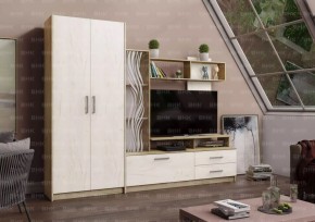 ДАРЬЯ Гостиная (Крафт серый/Крафт белый) в Лысьве - lysva.mebel24.online | фото