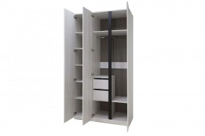 ДЕЛИ 3 Шкаф 3-х створчатый в Лысьве - lysva.mebel24.online | фото 6