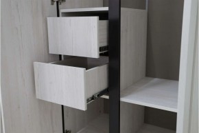 ДЕЛИ 3 Шкаф 3-х створчатый в Лысьве - lysva.mebel24.online | фото 7