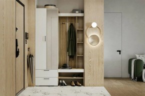 Гарнитур для прихожей Торонто в Лысьве - lysva.mebel24.online | фото 5
