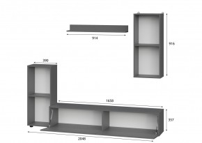 Гостиная МГС 10 (Графит) в Лысьве - lysva.mebel24.online | фото 2