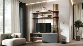 КАРОЛИНА Гостиная в Лысьве - lysva.mebel24.online | фото